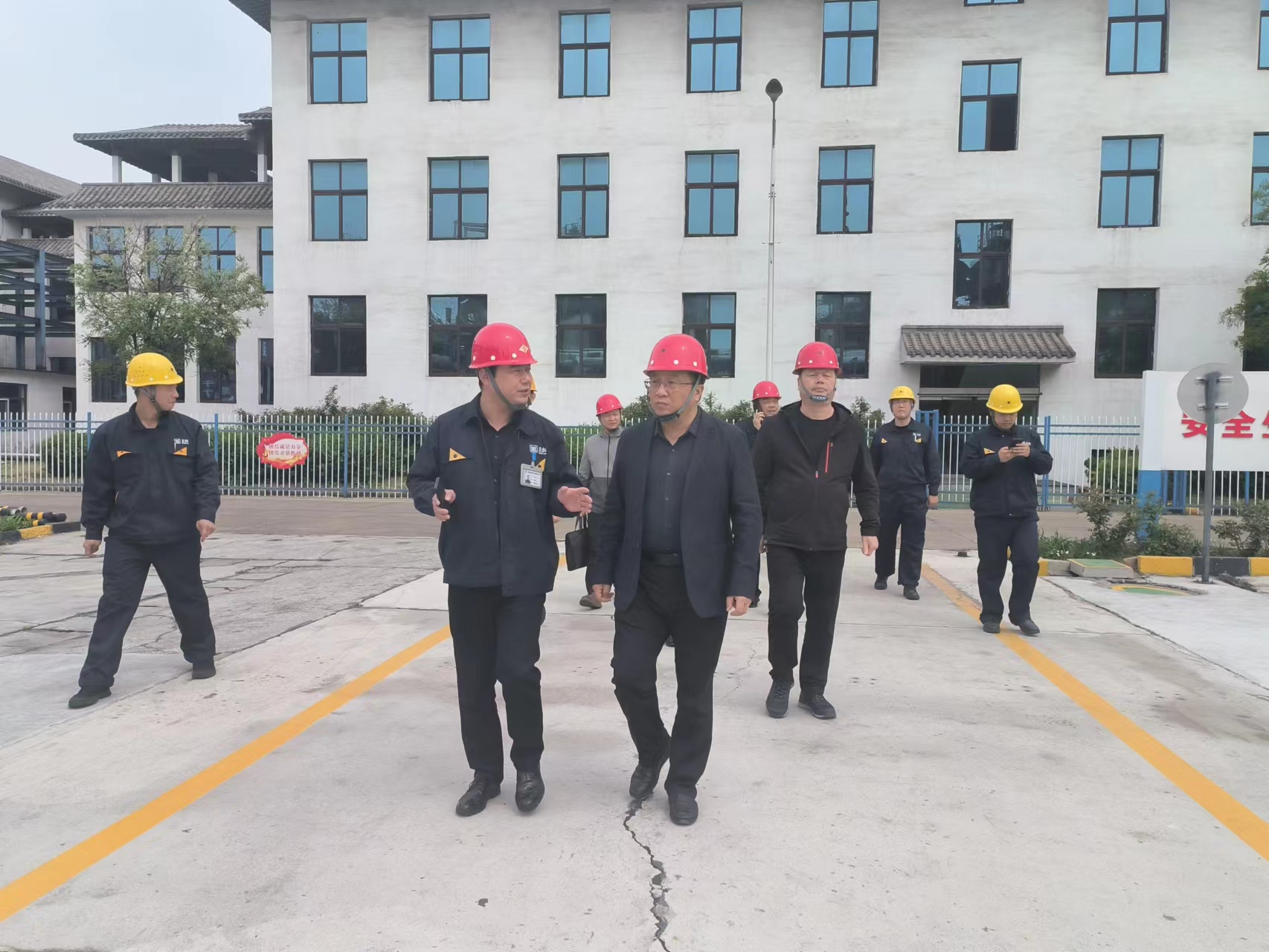 实地调查 (1).jpg